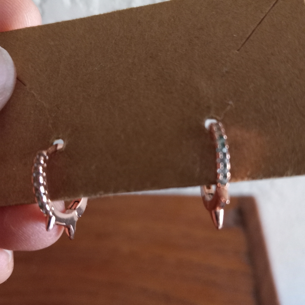 Rose Gold Spike Earrings